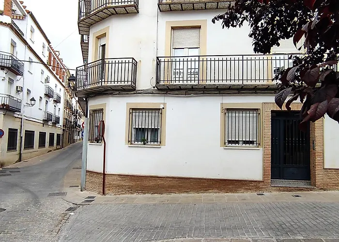 Plaza Samaniego