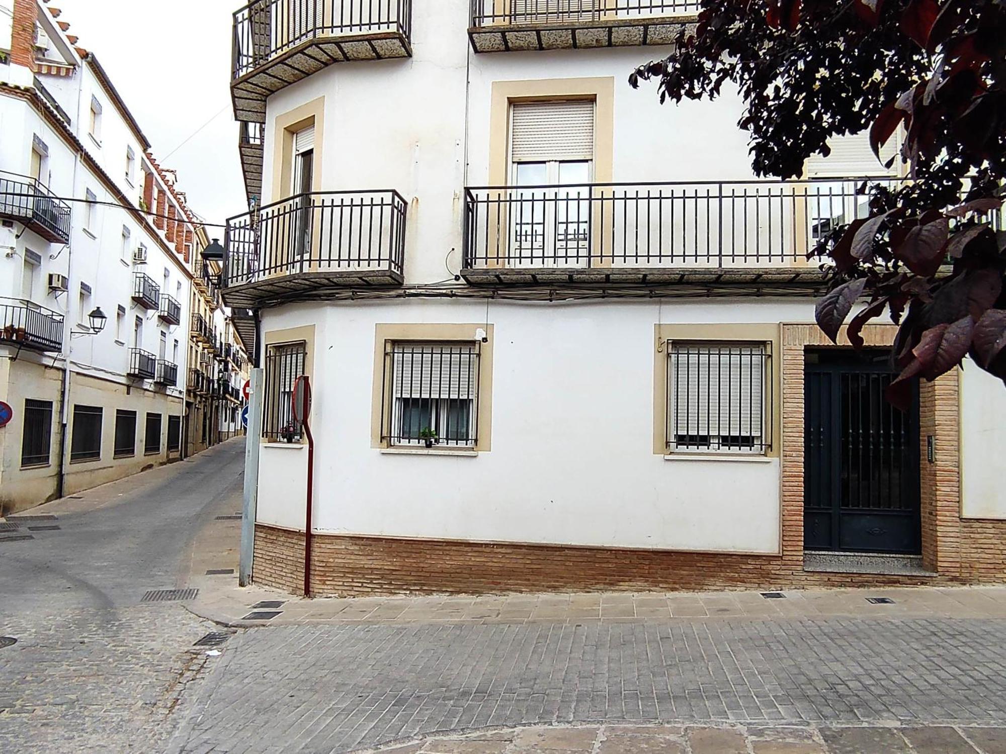 Plaza Samaniego Apartment *